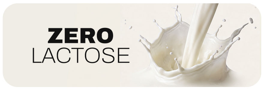 zero lactose produtos wise